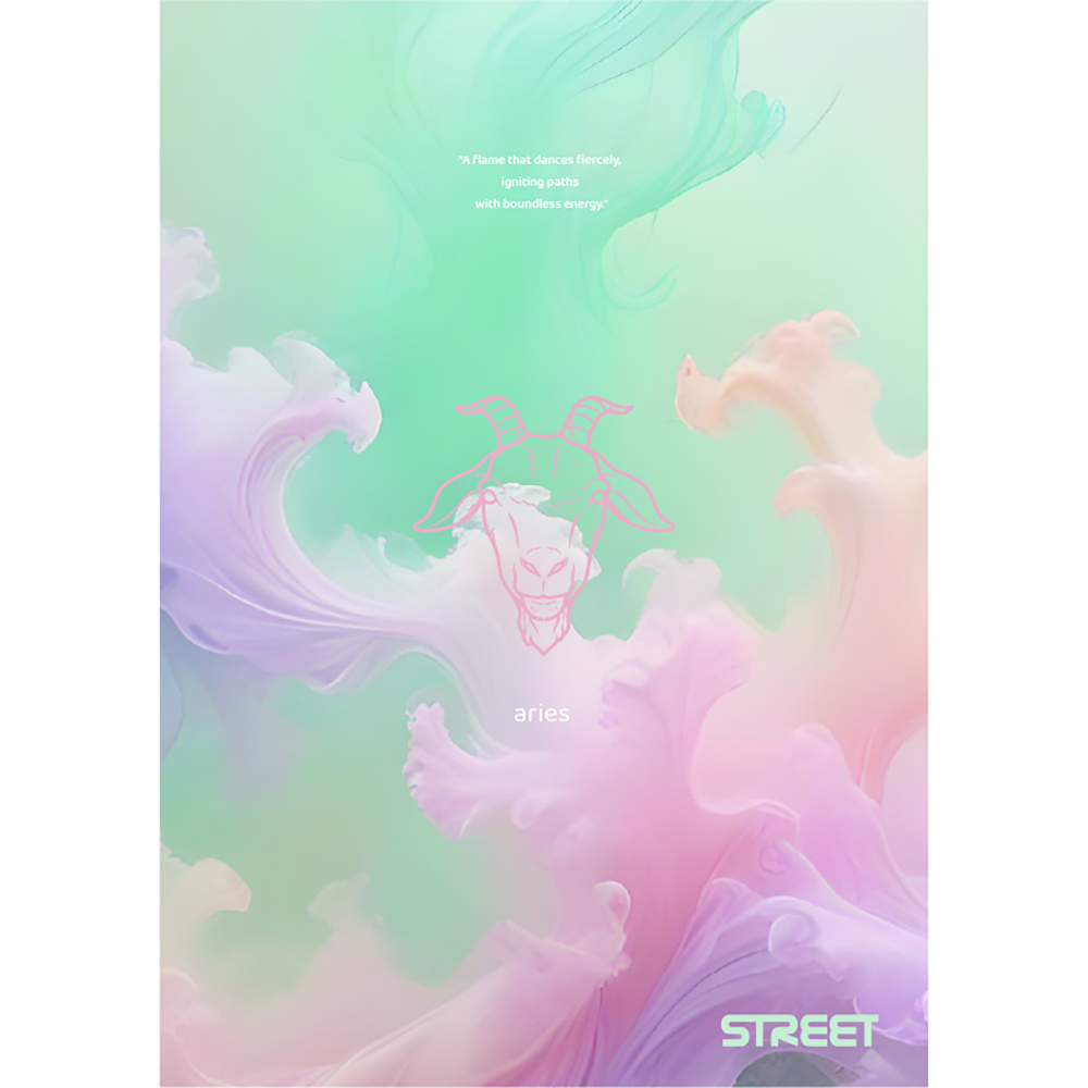 STREET Sveska sa mekom koricom ZODIAC